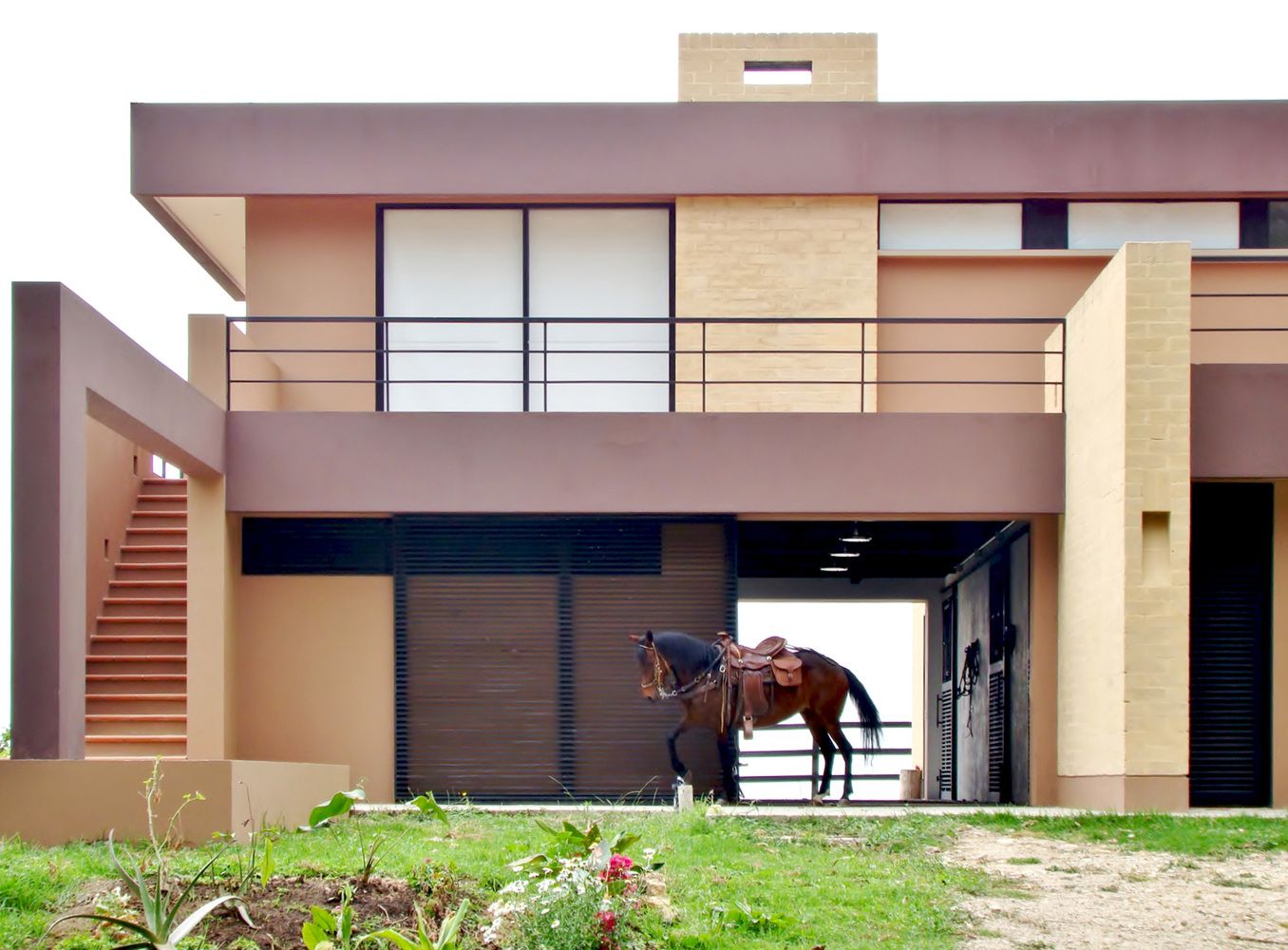 casa moderna haras para cavalo
