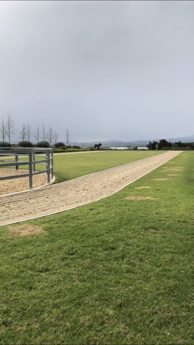 redondel e pista raia de areia para cavalos cavalli