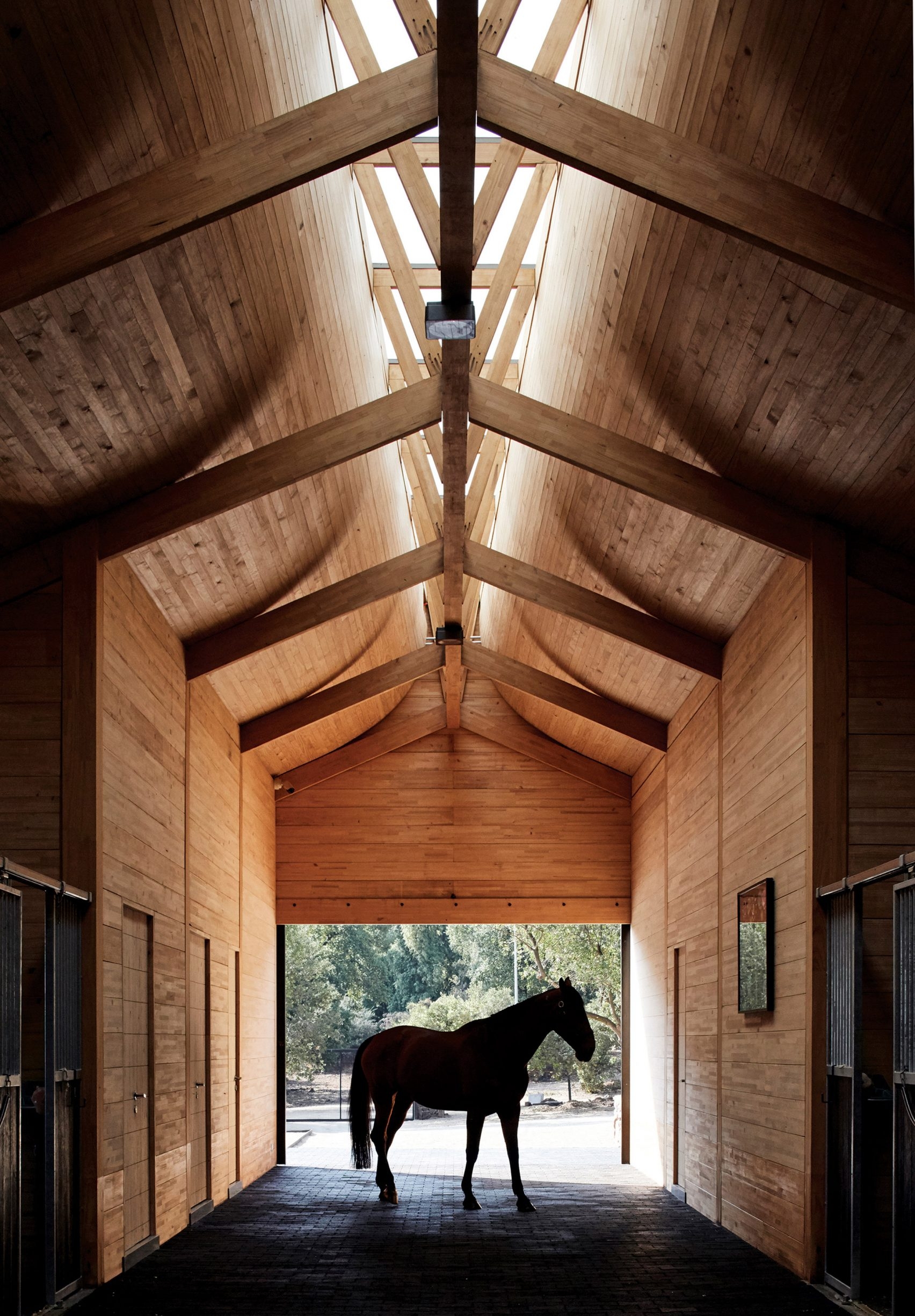 projeto de arquitetura para cavalos